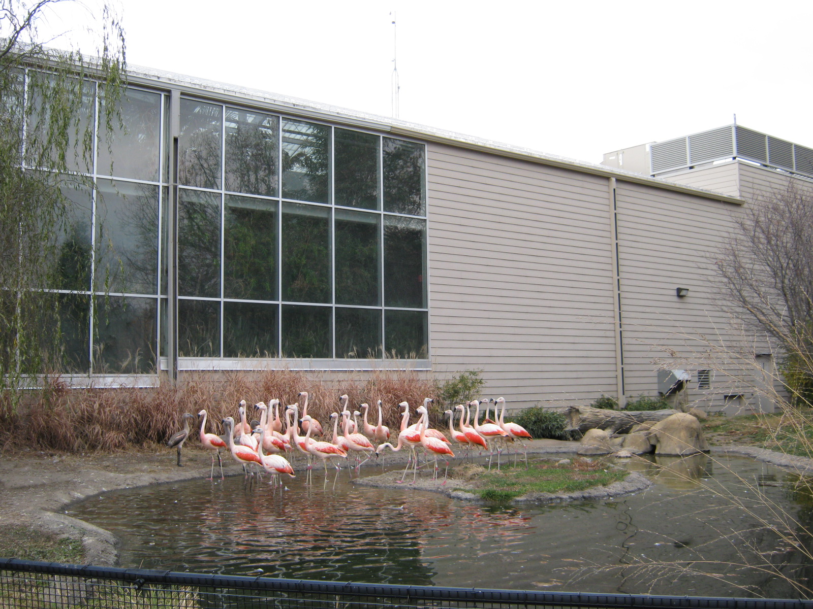 BPZ - Outdoor exhibits, grounds