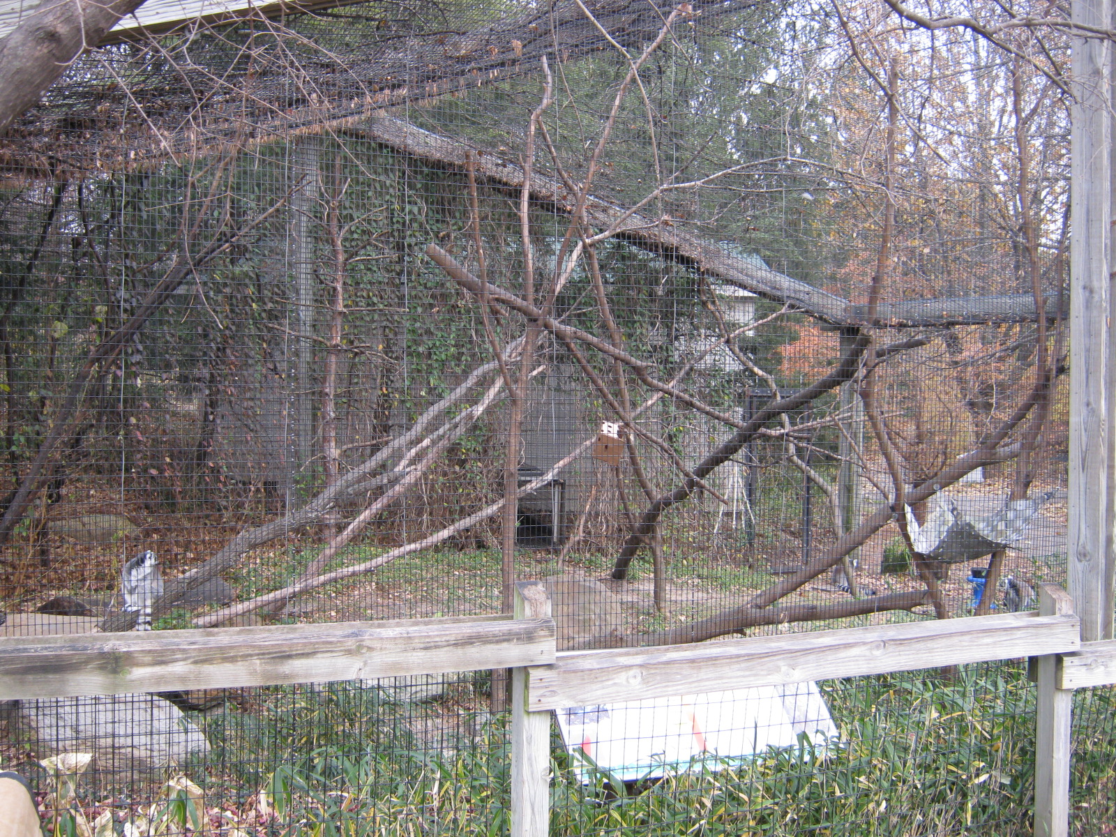 BPZ - Outdoor exhibits, grounds