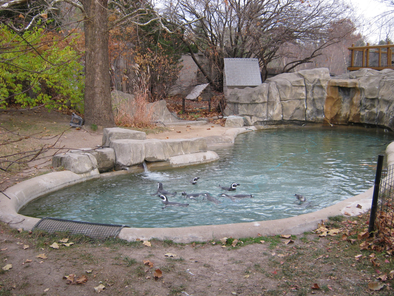 BPZ - Outdoor exhibits, grounds