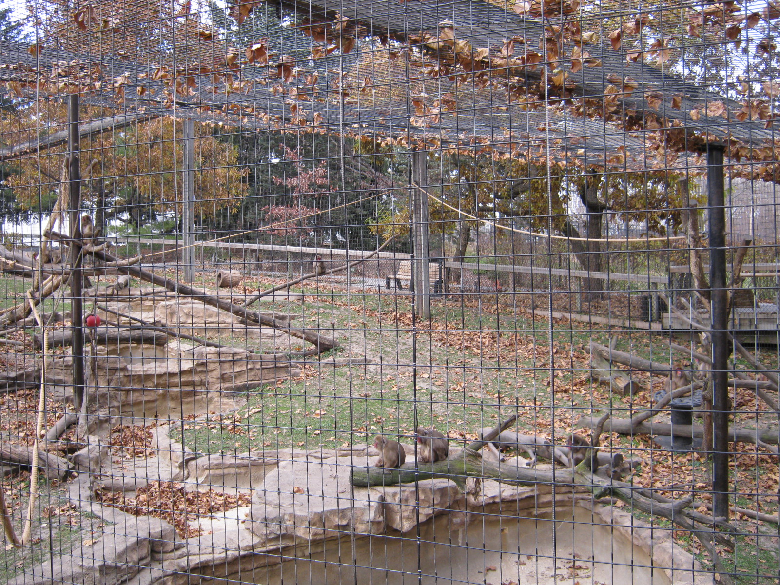 BPZ - Outdoor exhibits, grounds