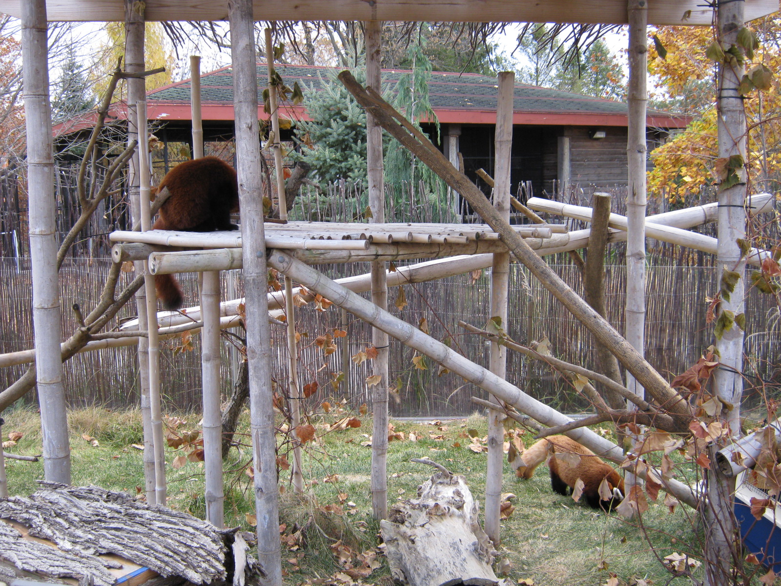 BPZ - Outdoor exhibits, grounds