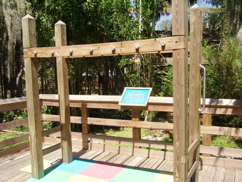 Brachiate Activity Area