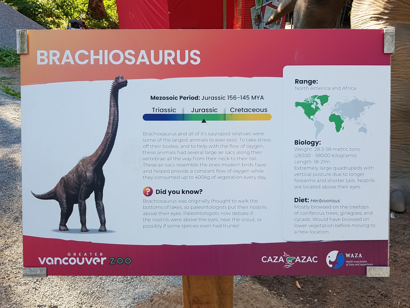 Brachiosaurus Sign
