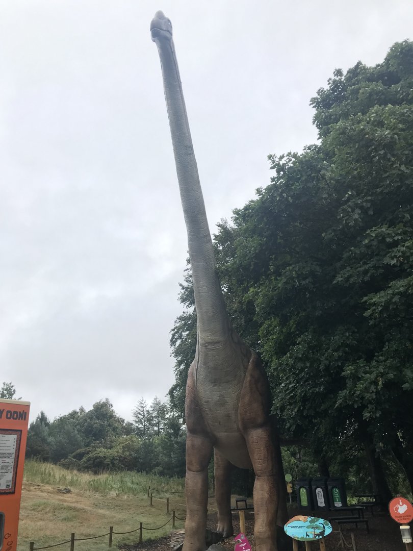 Brachiosaurus