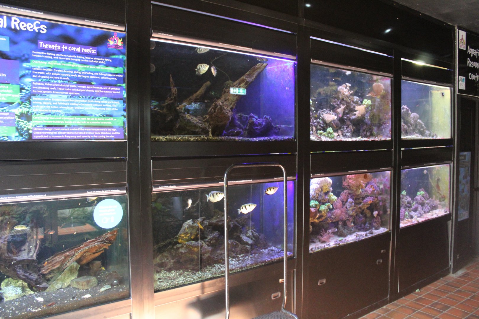 Brackish/Marine wall