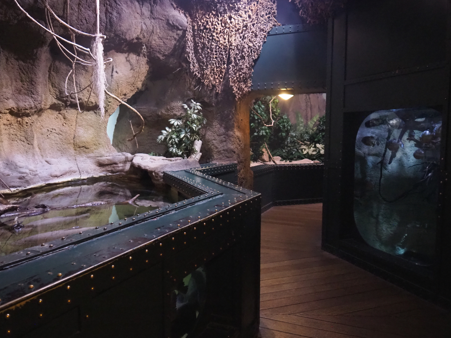 Brackish water and South American freshwater tanks, 2022-09-14