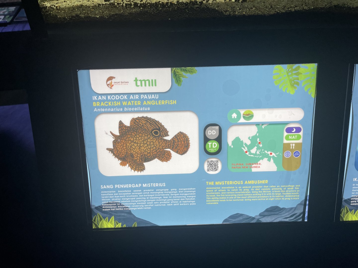 brackish water frogfish signage - dunia air tawar