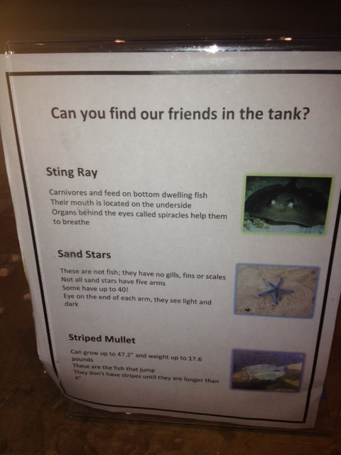 Brackish water tank guide