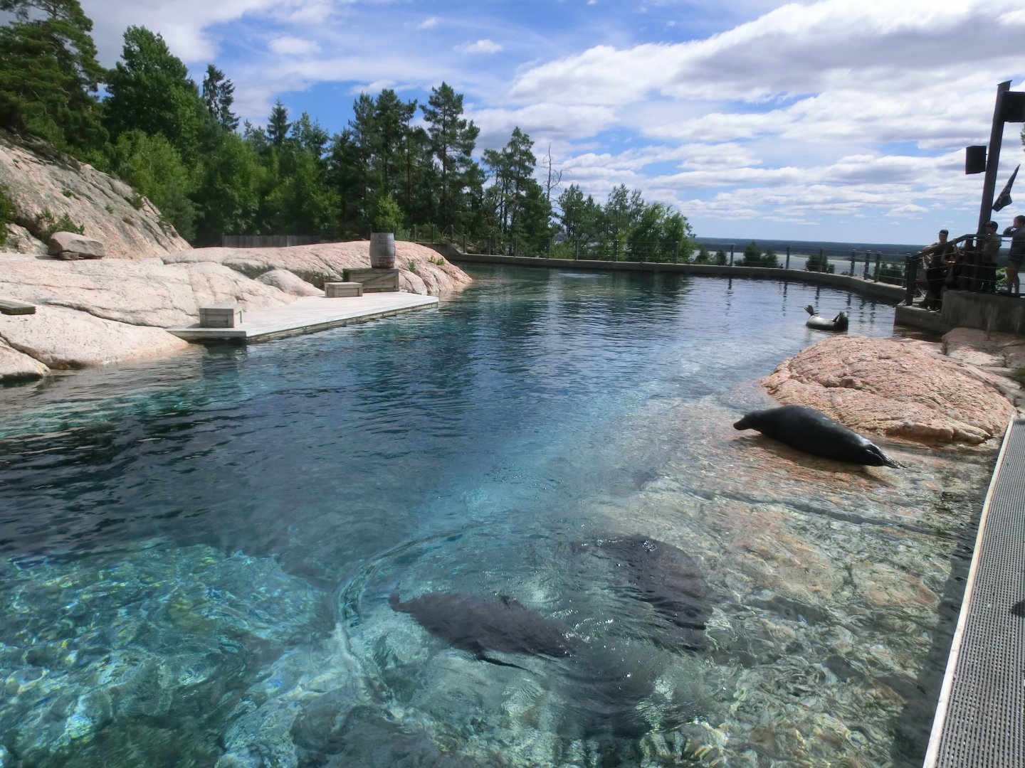 Brådjupet seal enclosure in Kolmården