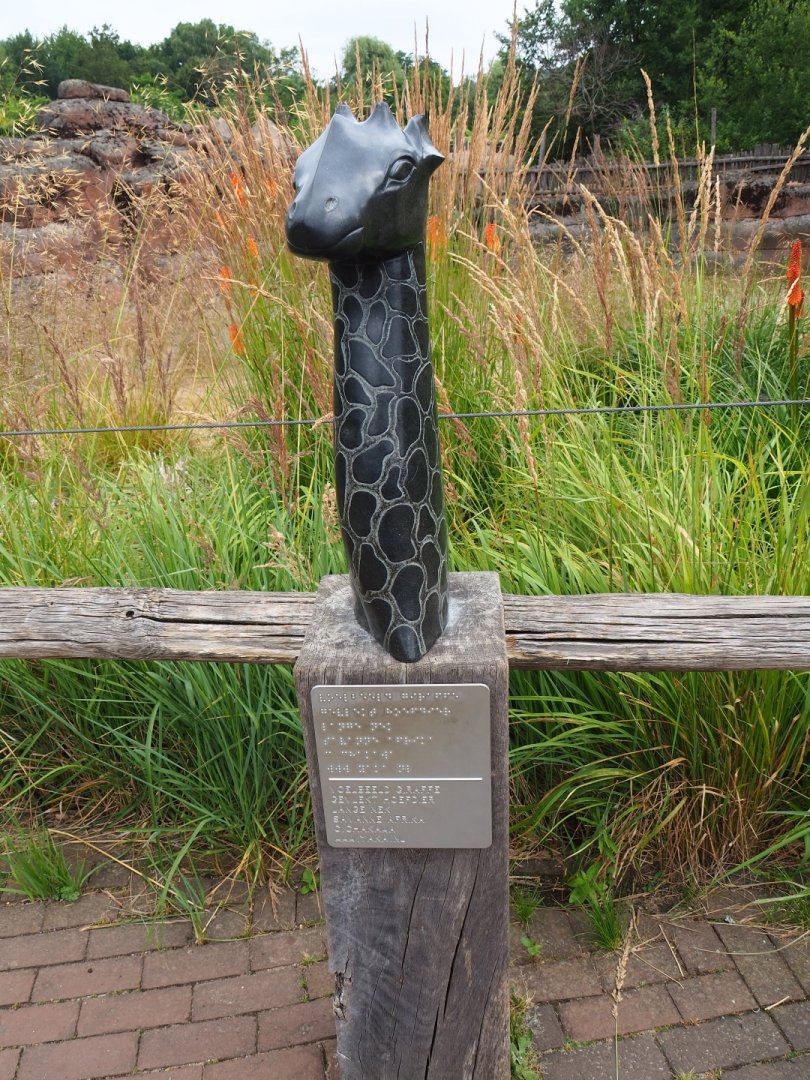 Braille display giraffe, 2019-07-21