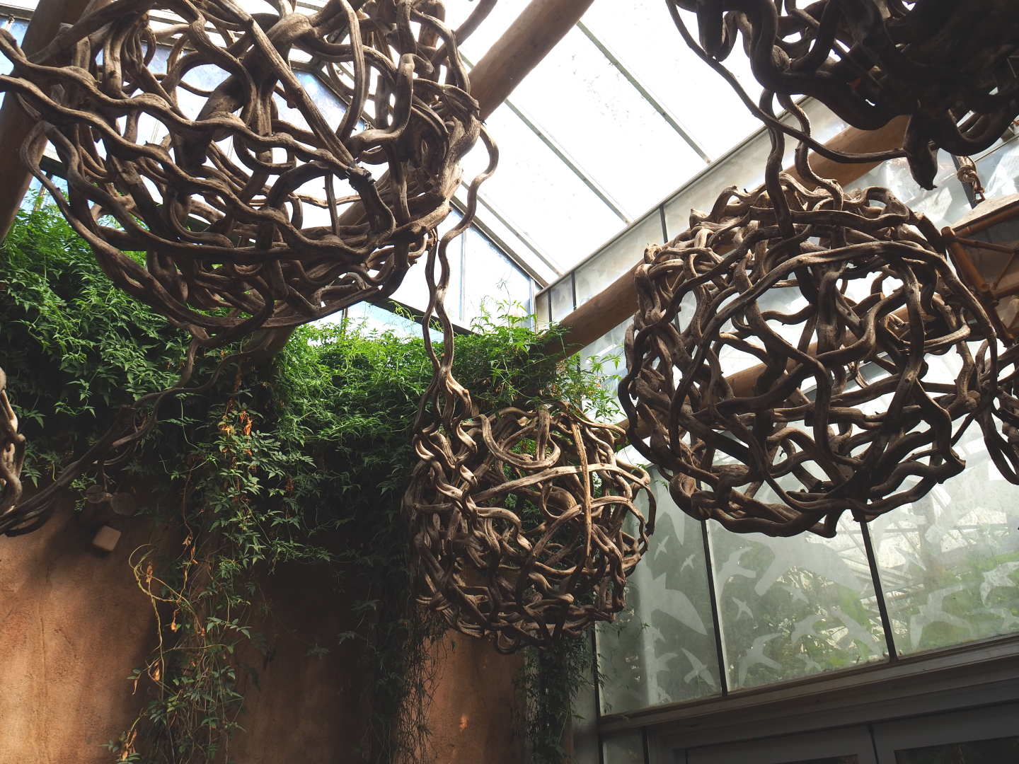 Branch/Vine ball decorations, 2022-09-15