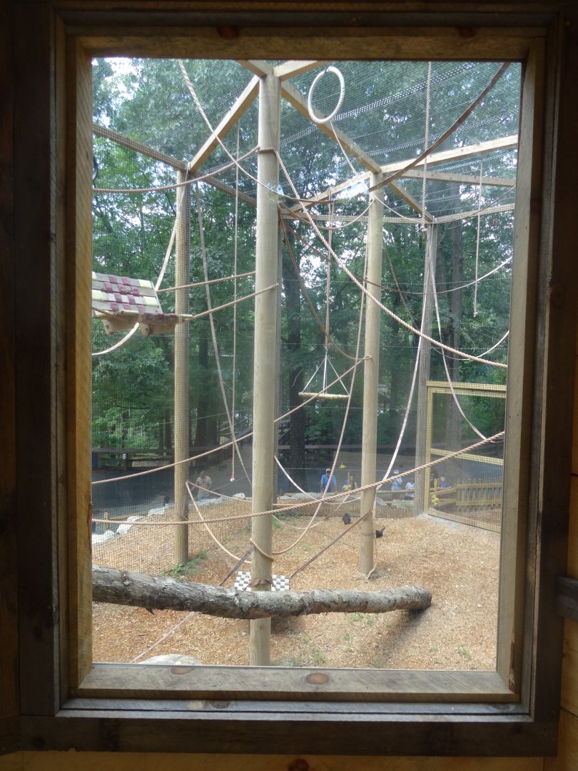 Brand New Brown-Headed Spider Monkey Habitat- Upper-Level Viewing