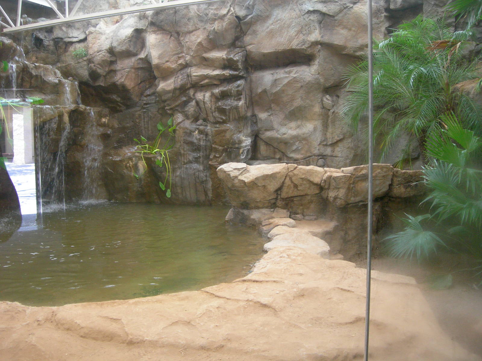 Brand New Island Giants aka Komodo Dragon exhibit