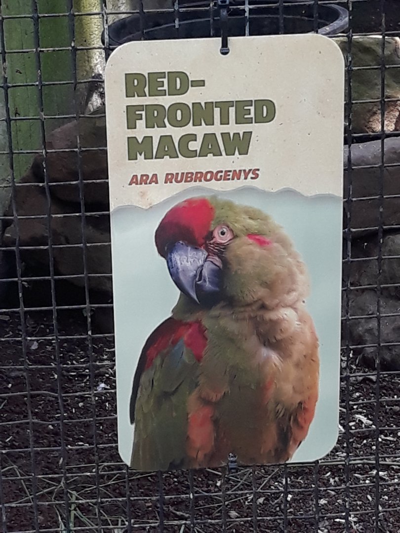 Brand new sign, relocated bird