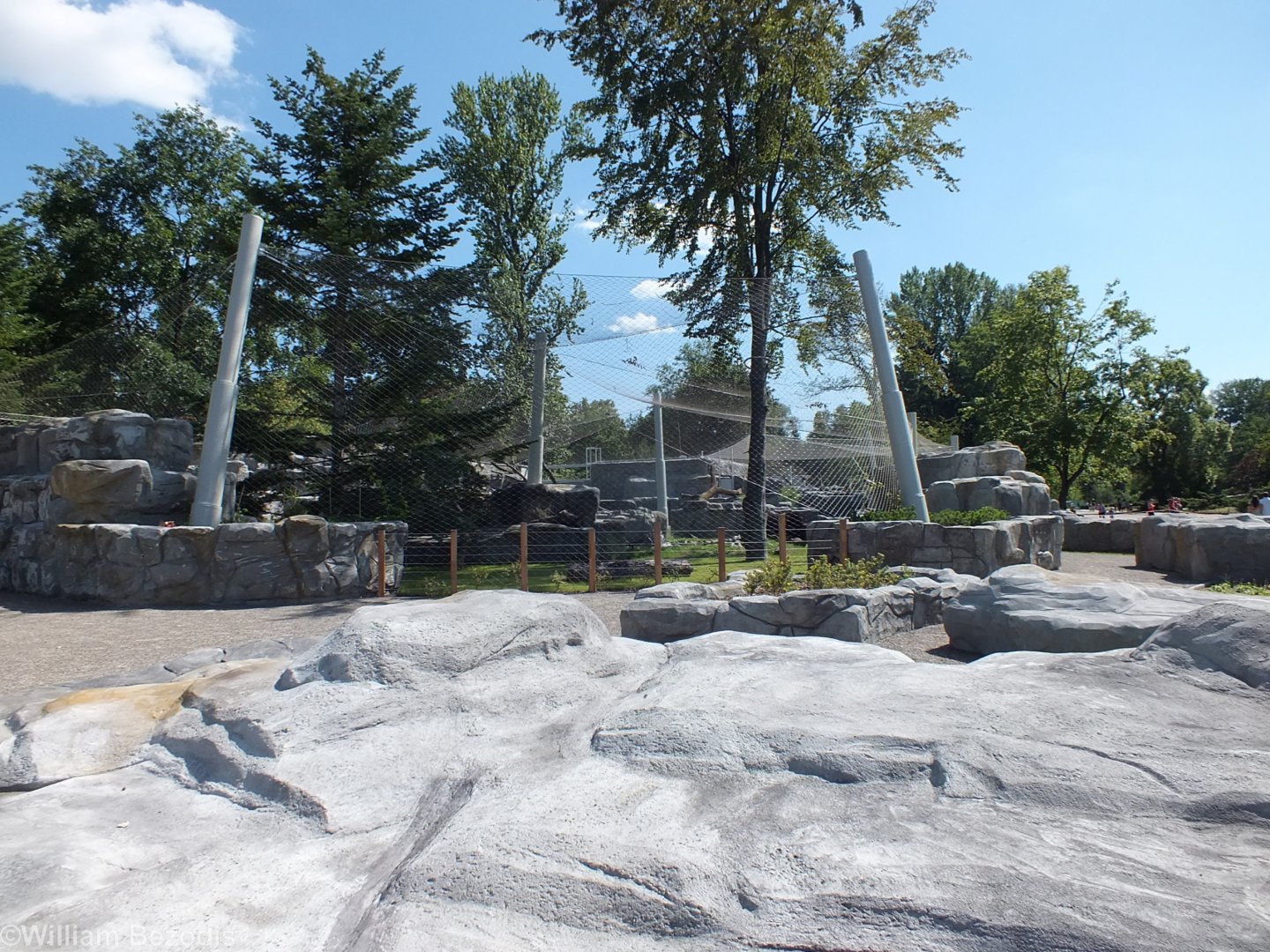 Brand New Snow Leopard Enclosure