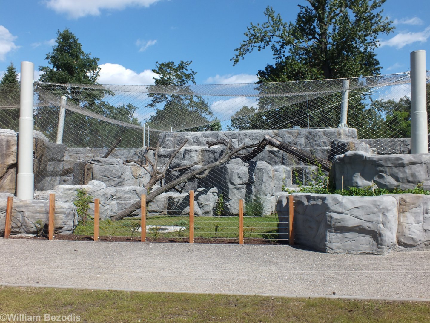 Brand New Snow Leopard Enclosure