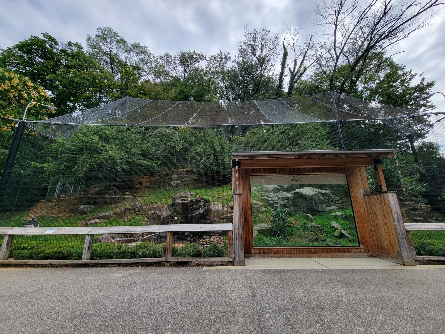 Brandywine - Andean Condor exhibit