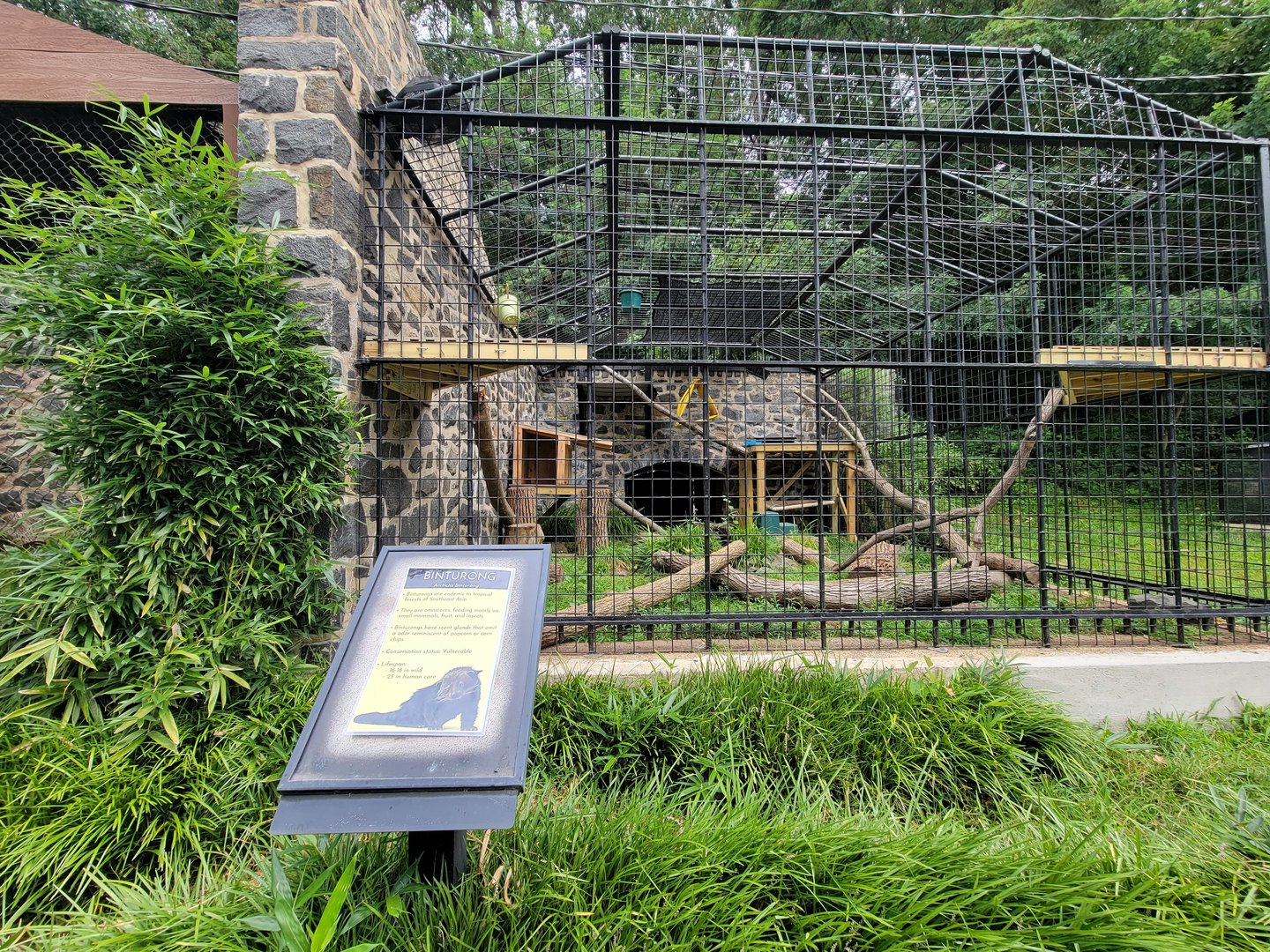 Brandywine - Binturong exhibit