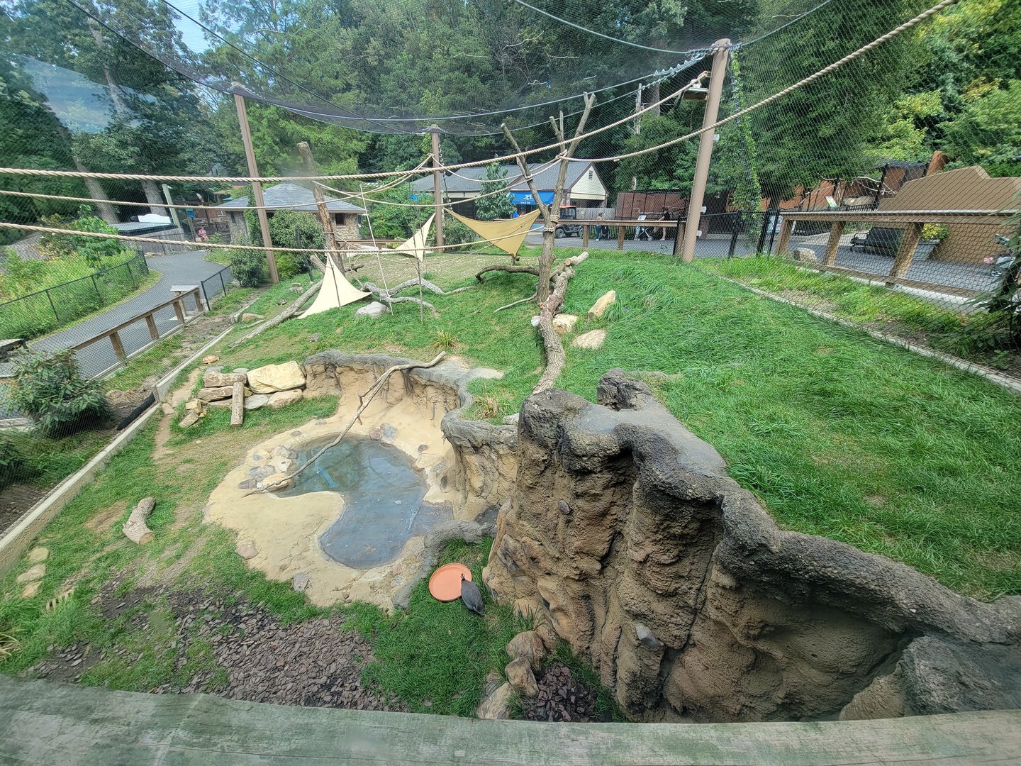 Brandywine - Lemur exhibit after several years of use