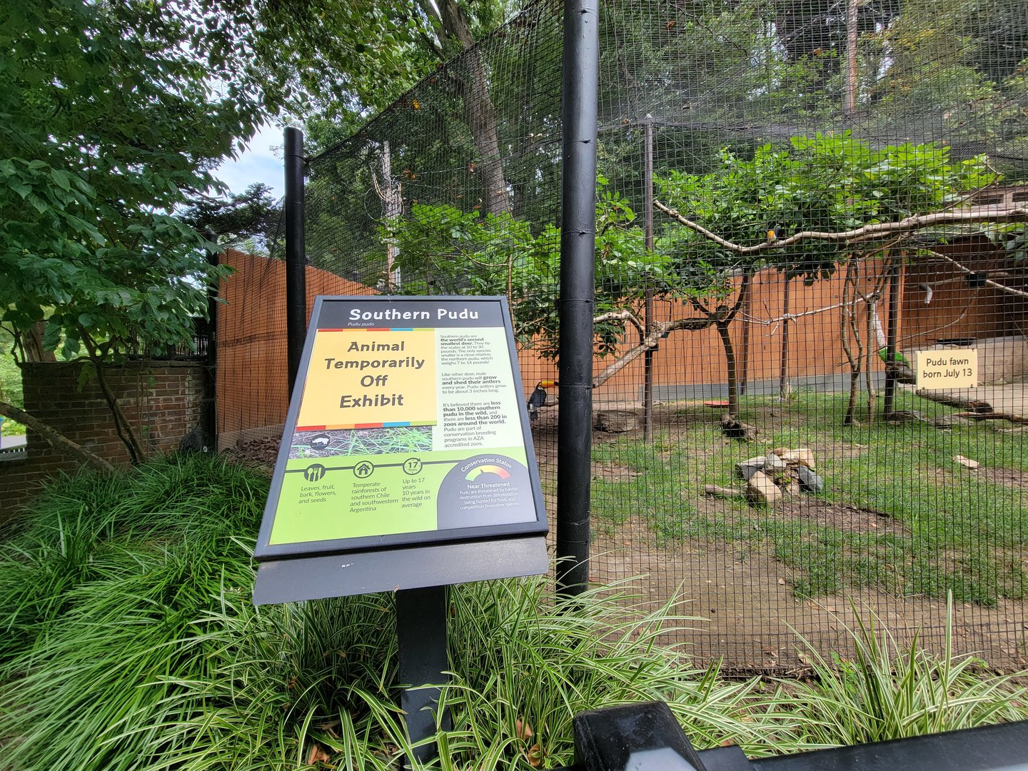 Brandywine - Pudu off exhibit :(