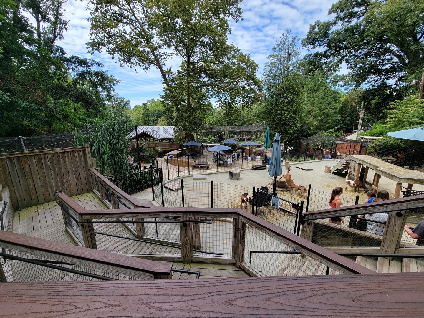 Brandywine - View from top of zoo (bald eagle/sandhill crane exhibit)