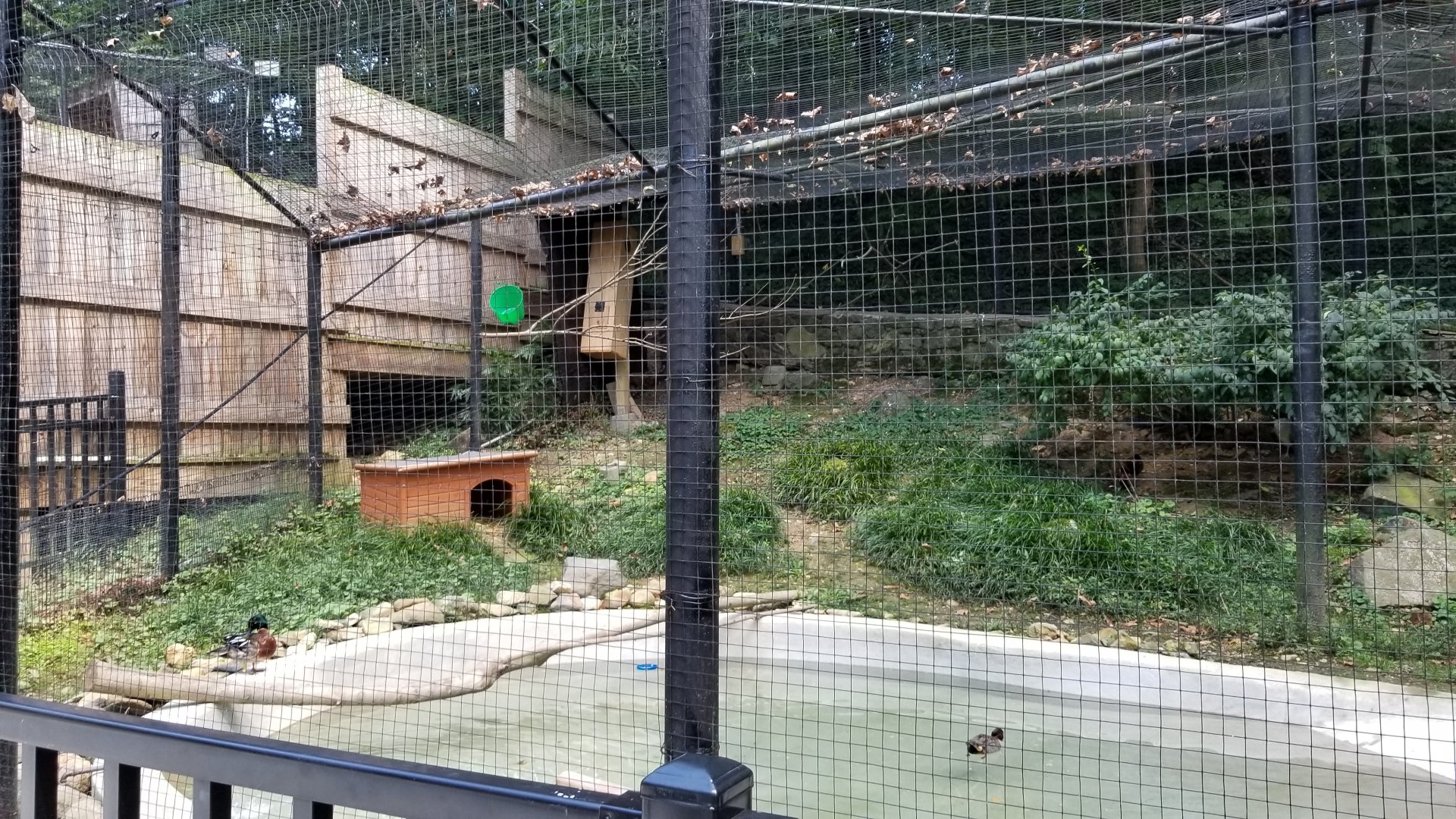 Brandywine Zoo - Aviary