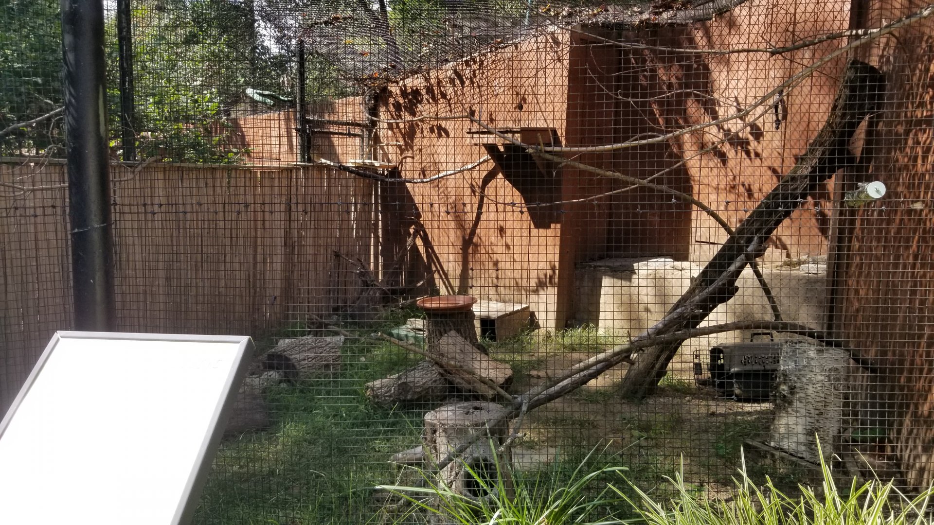 Brandywine Zoo - Burrowing Owls