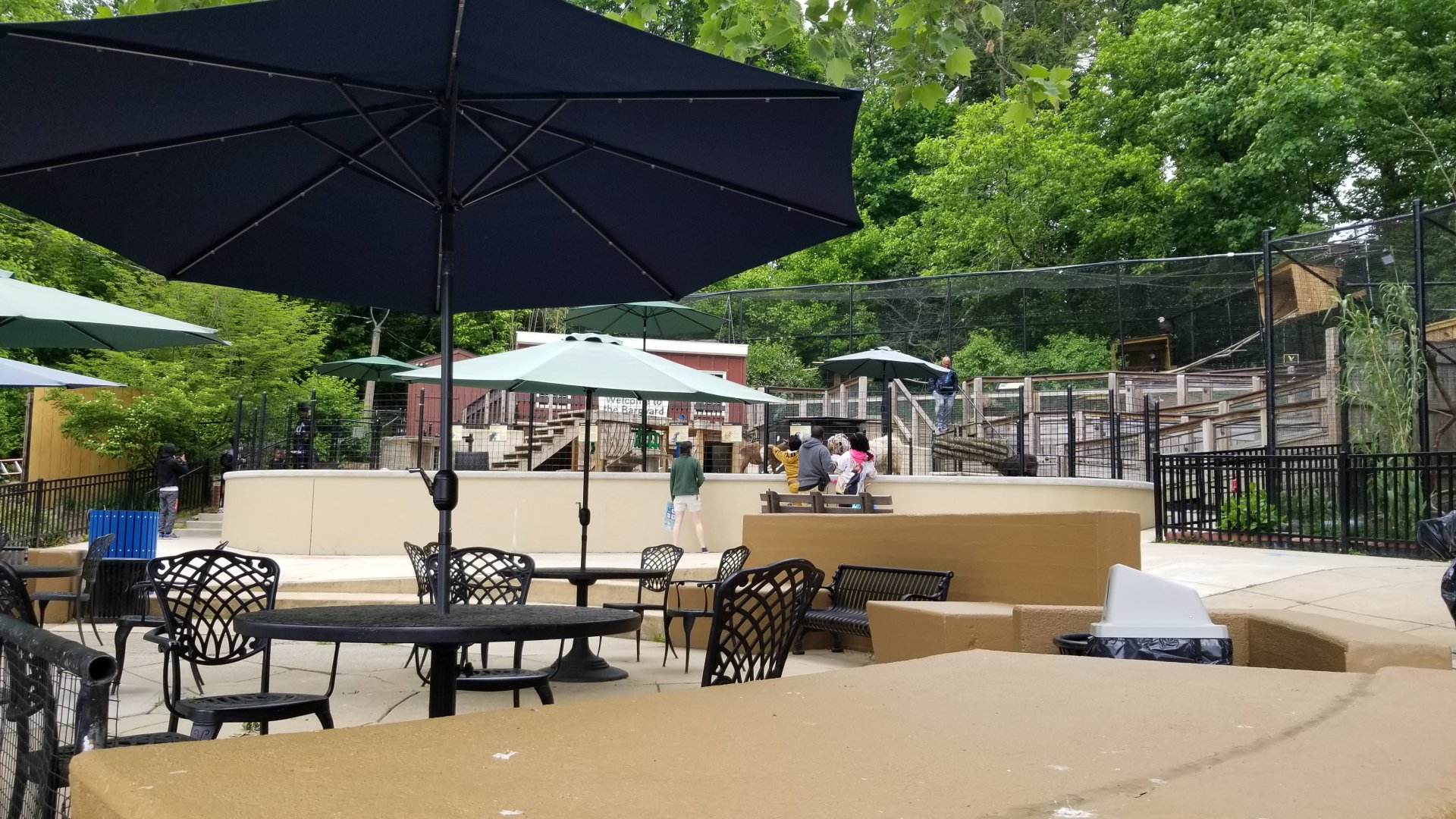 Brandywine Zoo - Dining area, farm, and bald eagle exhibit