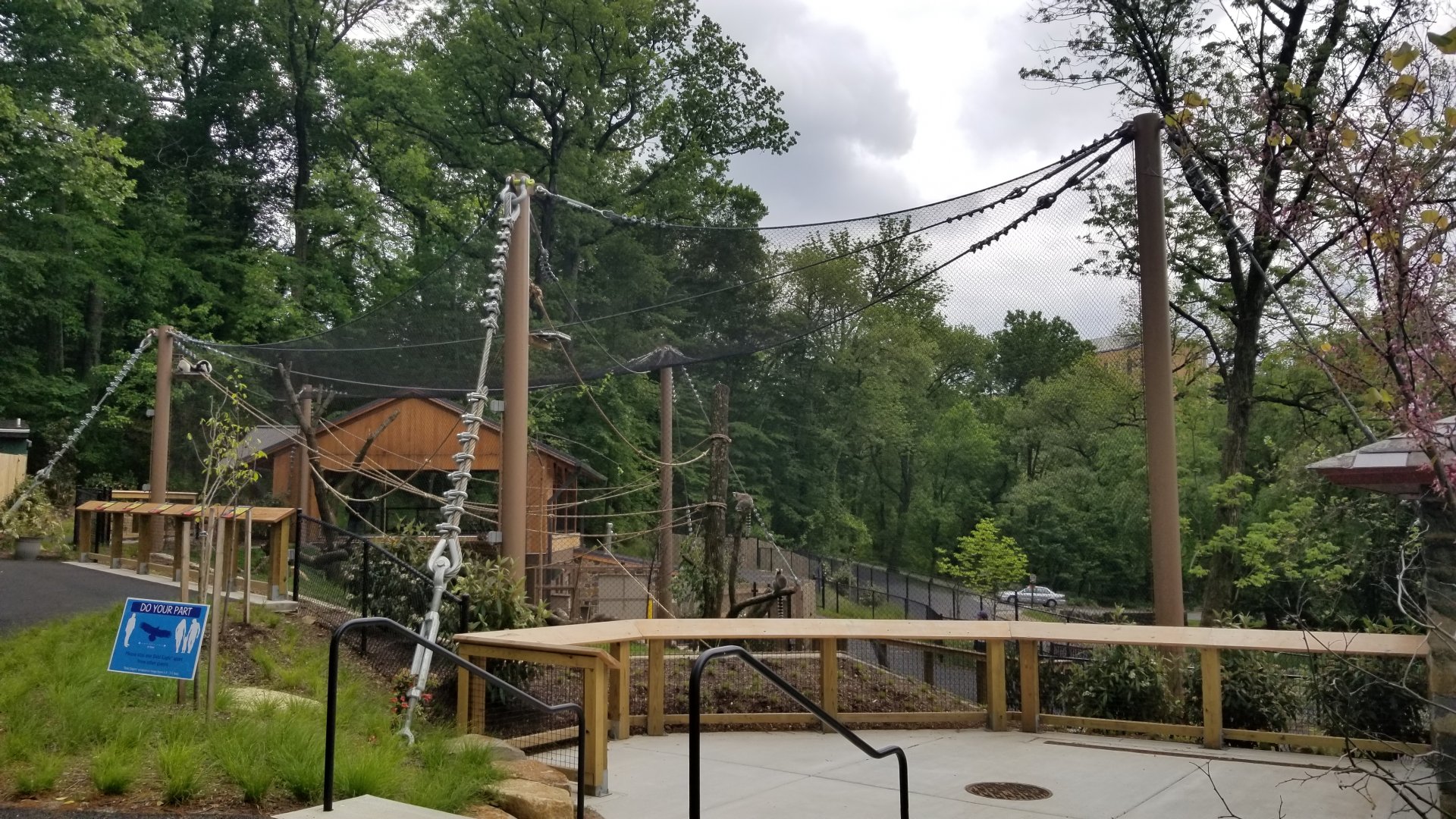 Brandywine Zoo - First view of lemur exhibit