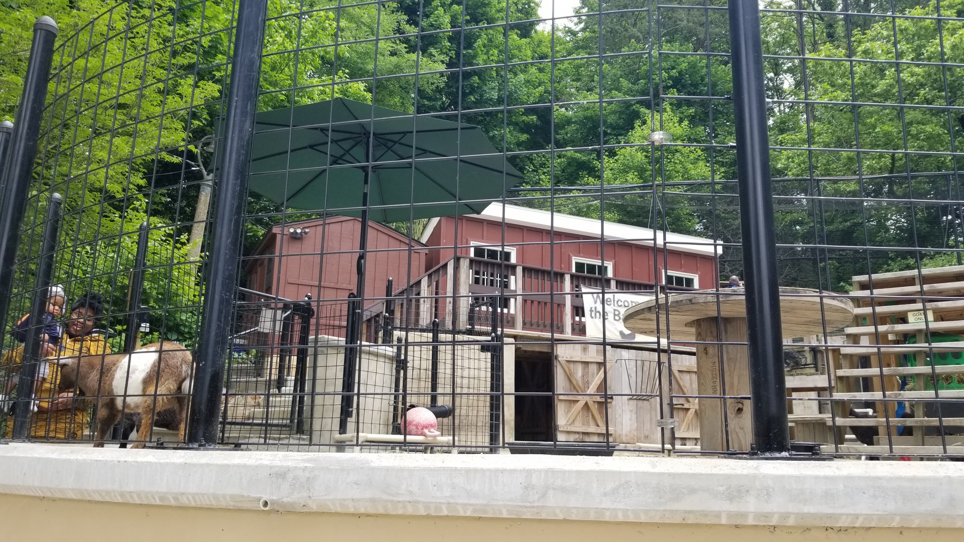 Brandywine Zoo - Goats & chickens
