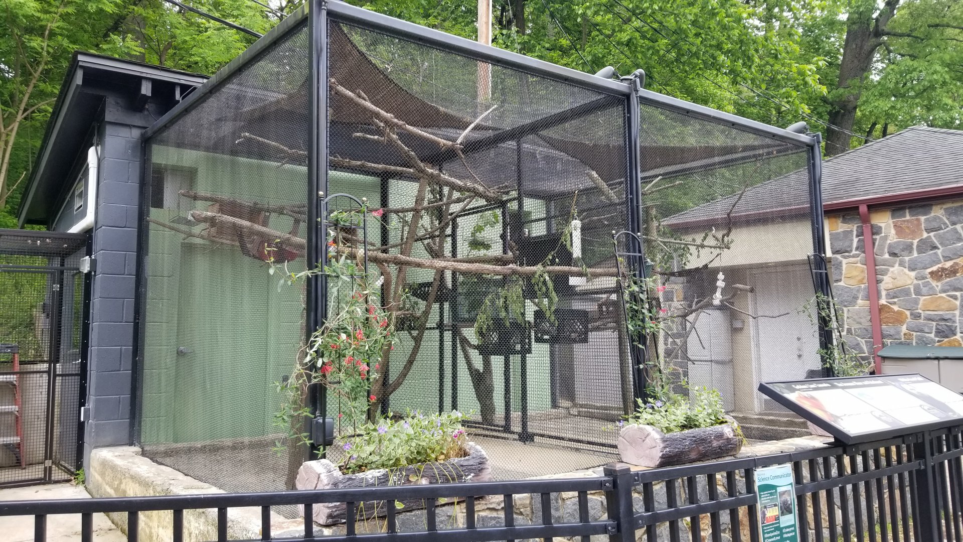 Brandywine Zoo - Golden lion tamarin