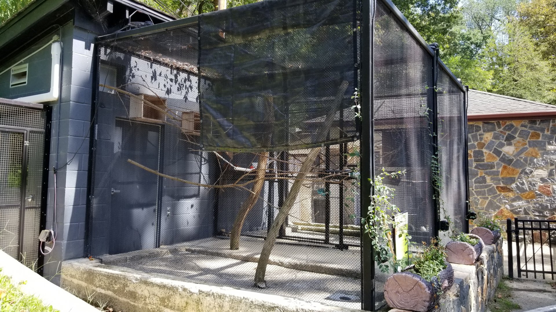 Brandywine Zoo - Golden Lion Tamarins from side