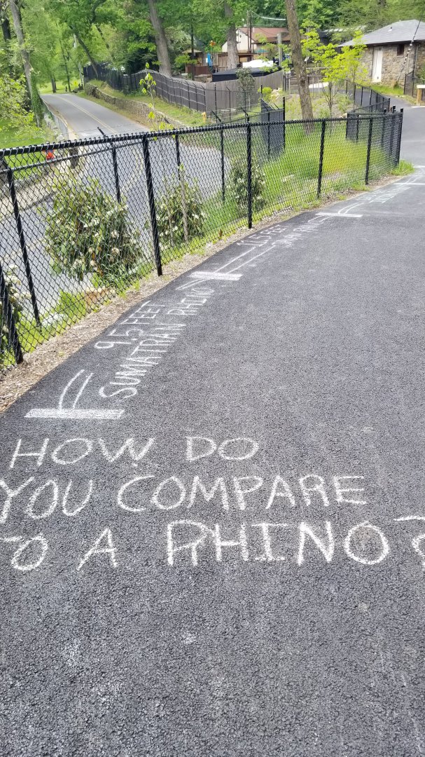 Brandywine Zoo - How do you compare to a rhino?