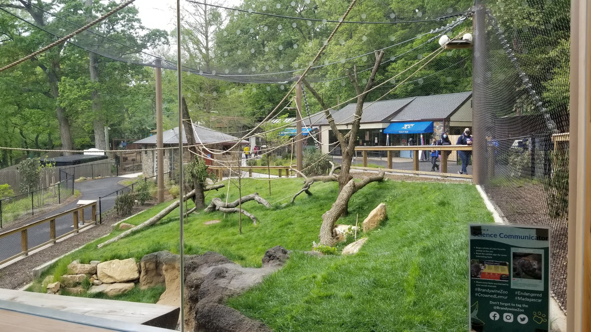 Brandywine Zoo - Lemurs