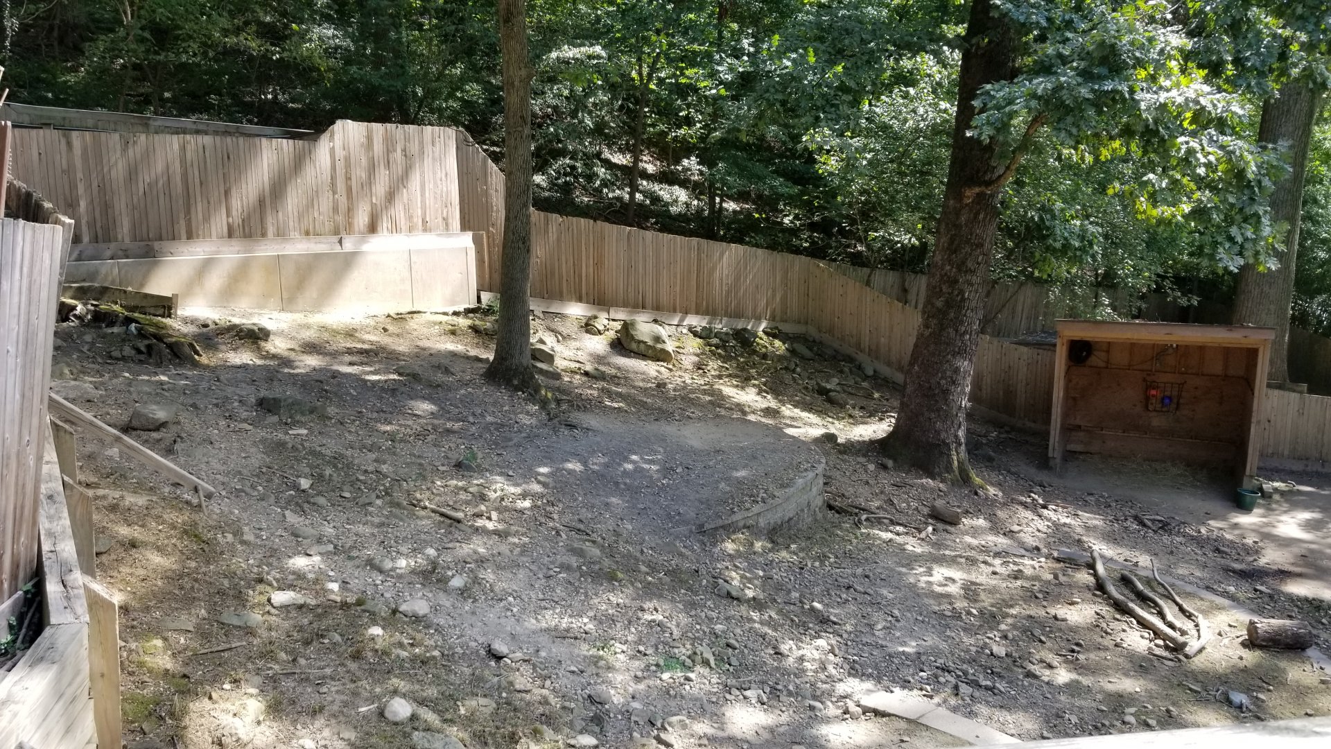Brandywine Zoo - Llamas, from left of viewing platform