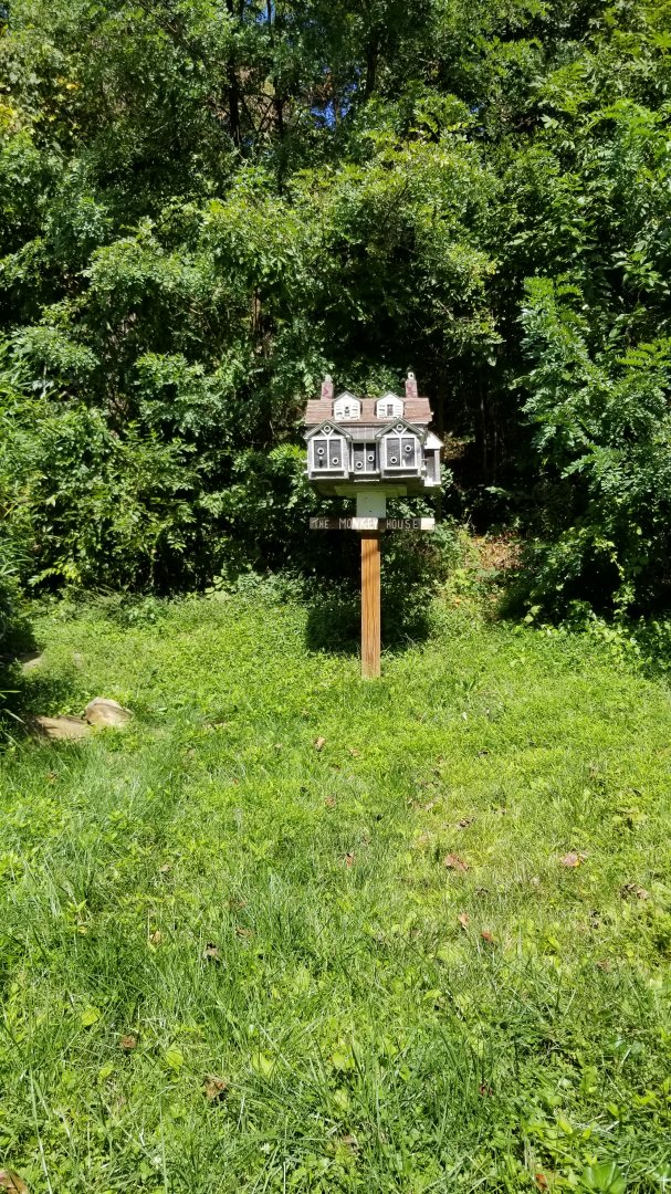 Brandywine Zoo - "Monkey House" bird house