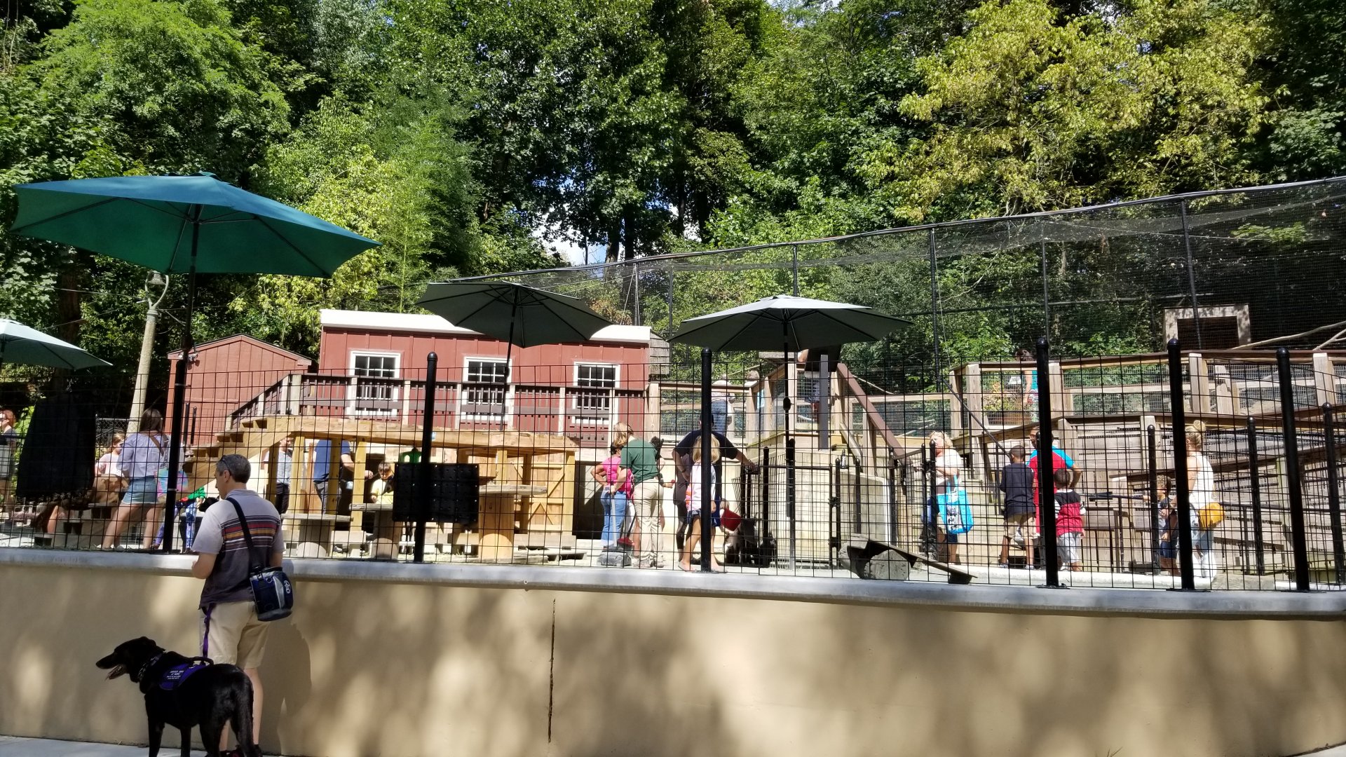 Brandywine Zoo - new goat area