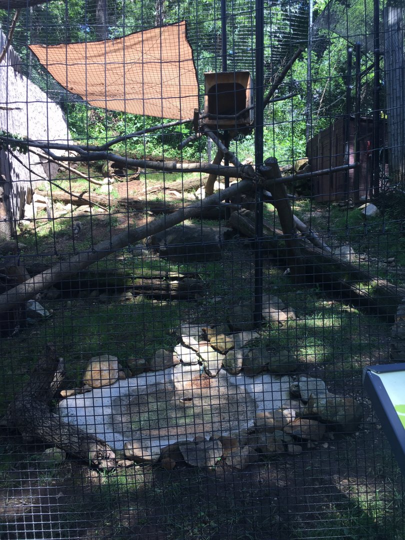Brandywine Zoo - North American Porcupine Exhibit
