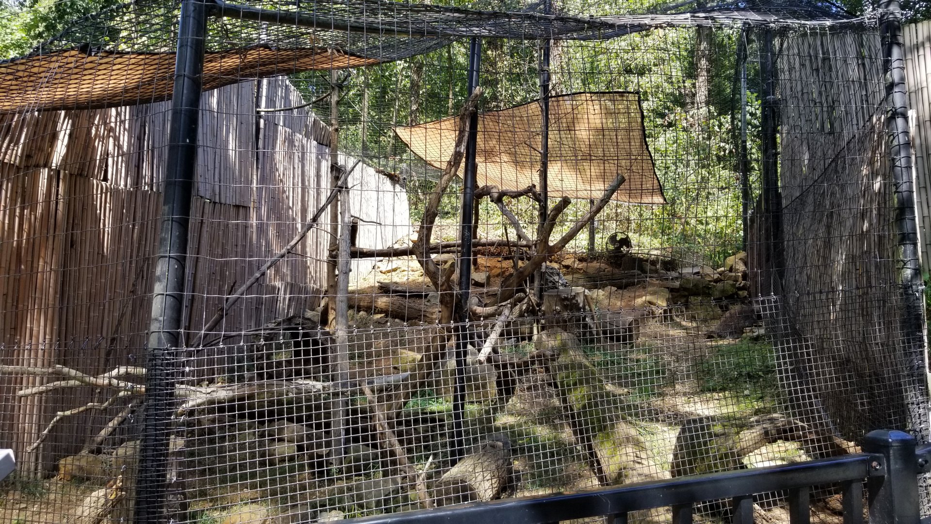 Brandywine Zoo - North American Porcupine
