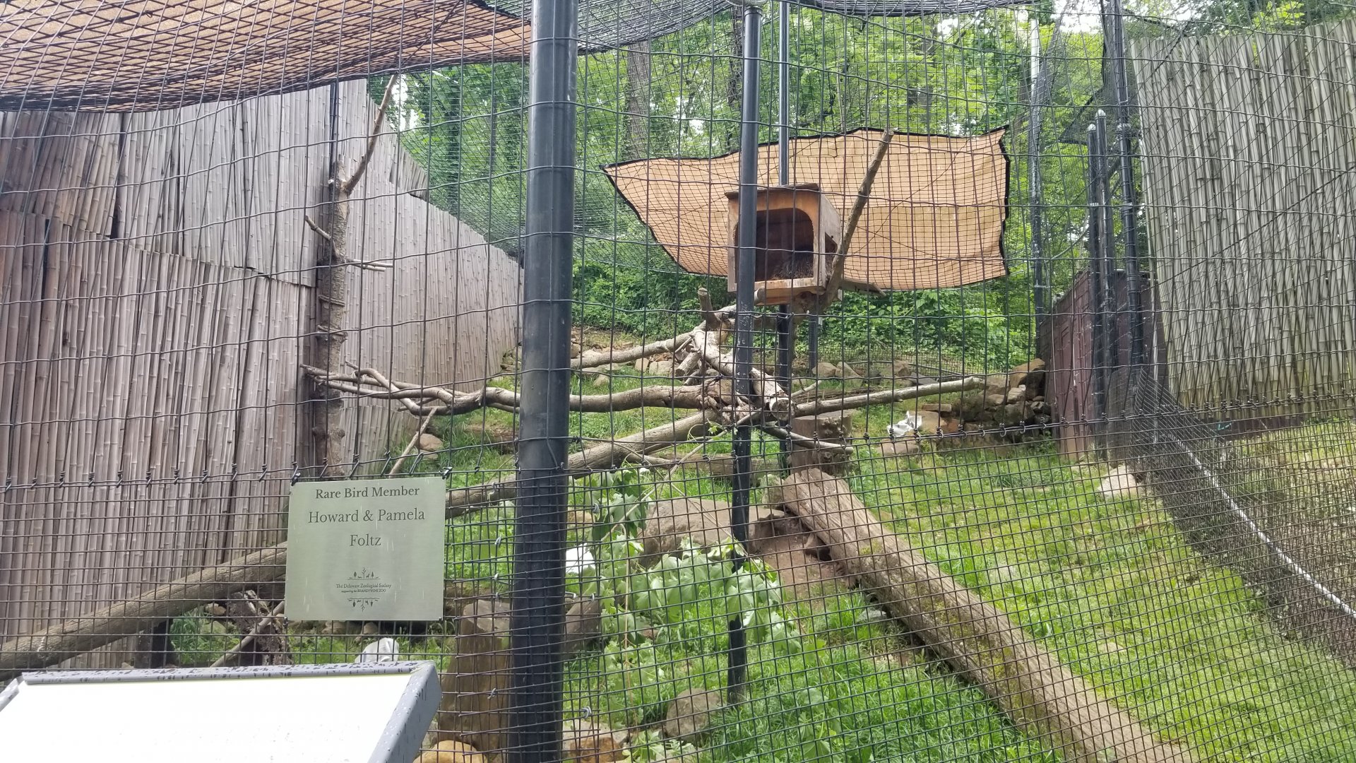 Brandywine Zoo - North american porcupine
