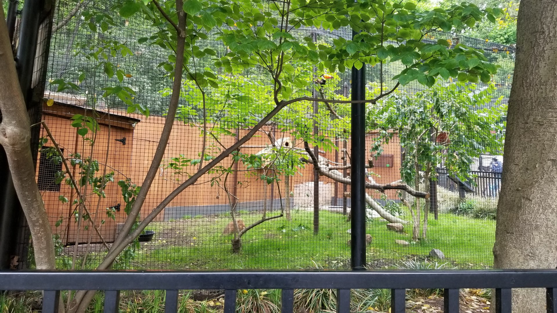 Brandywine Zoo - Pudu, toucan exhibit