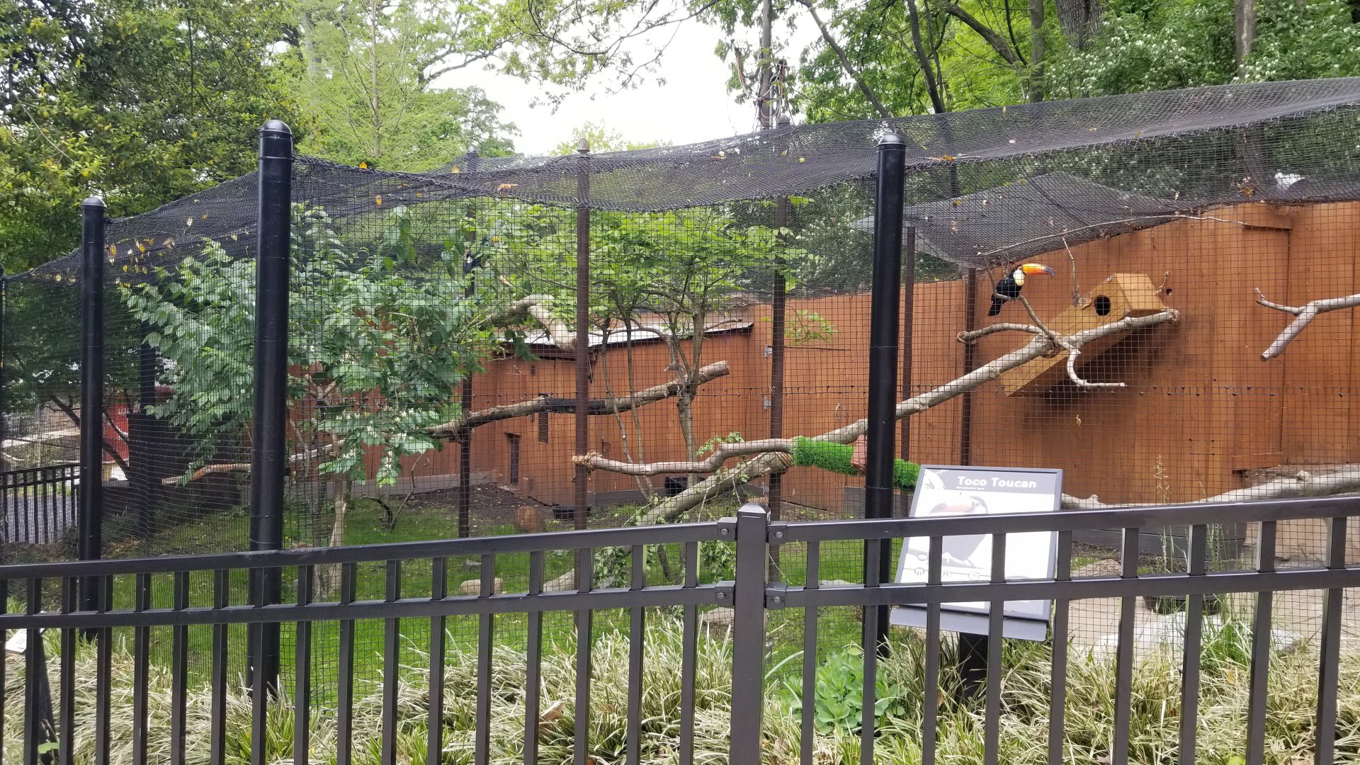 Brandywine Zoo - Pudu, toucan exhibit