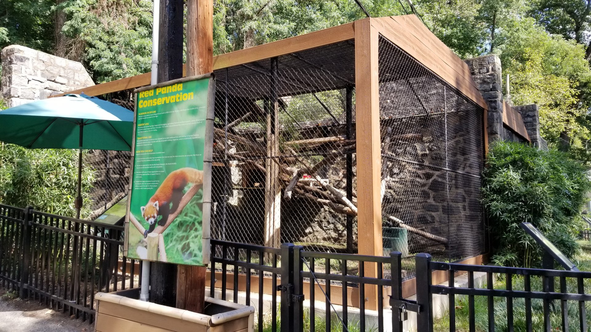 Brandywine Zoo - Red Pandas