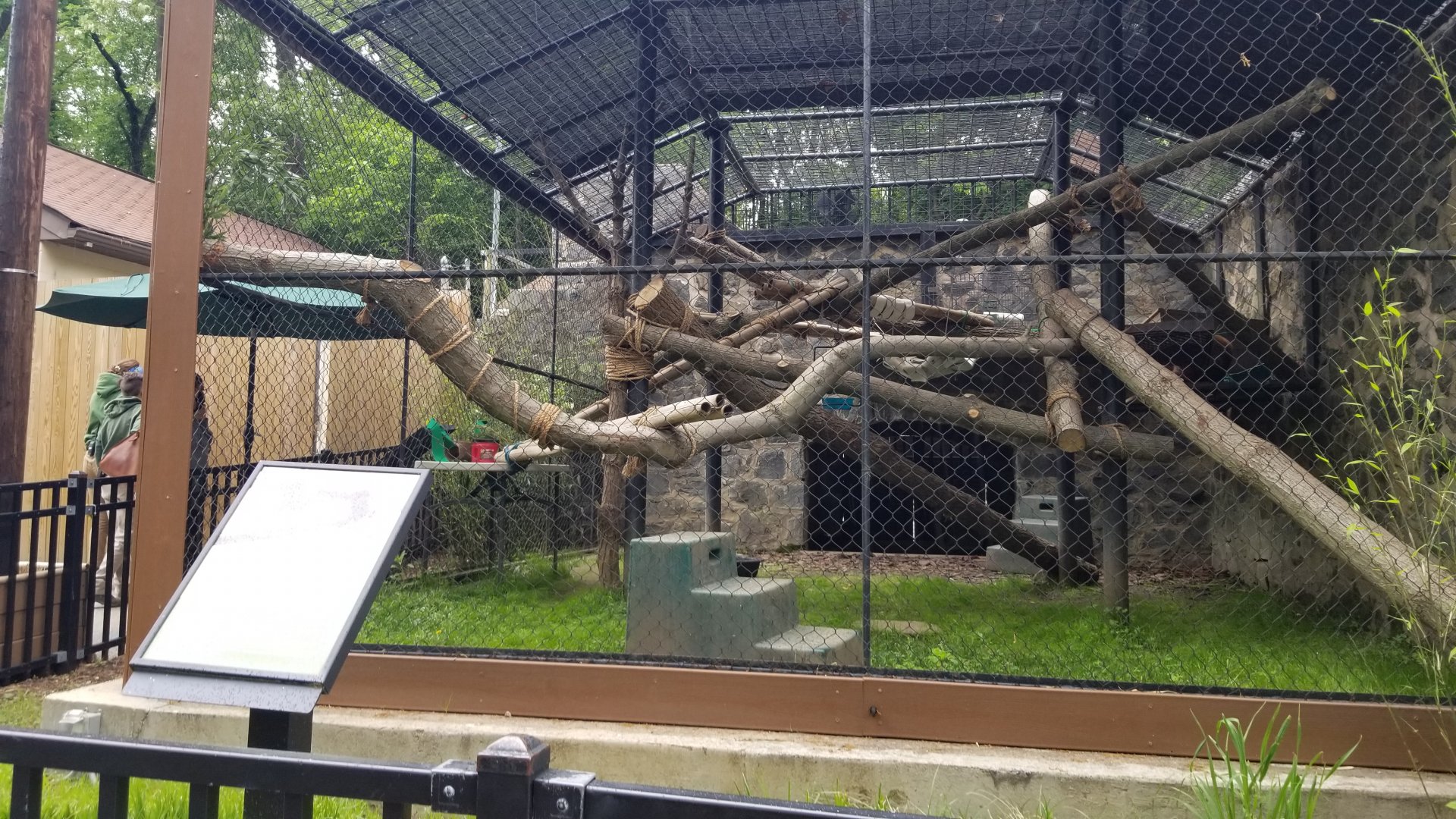 Brandywine Zoo - Red pandas