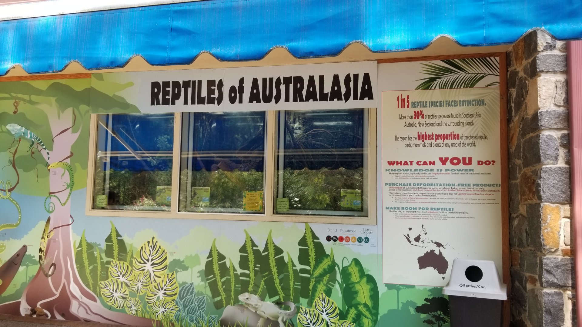 Brandywine Zoo - Reptiles of Australasia