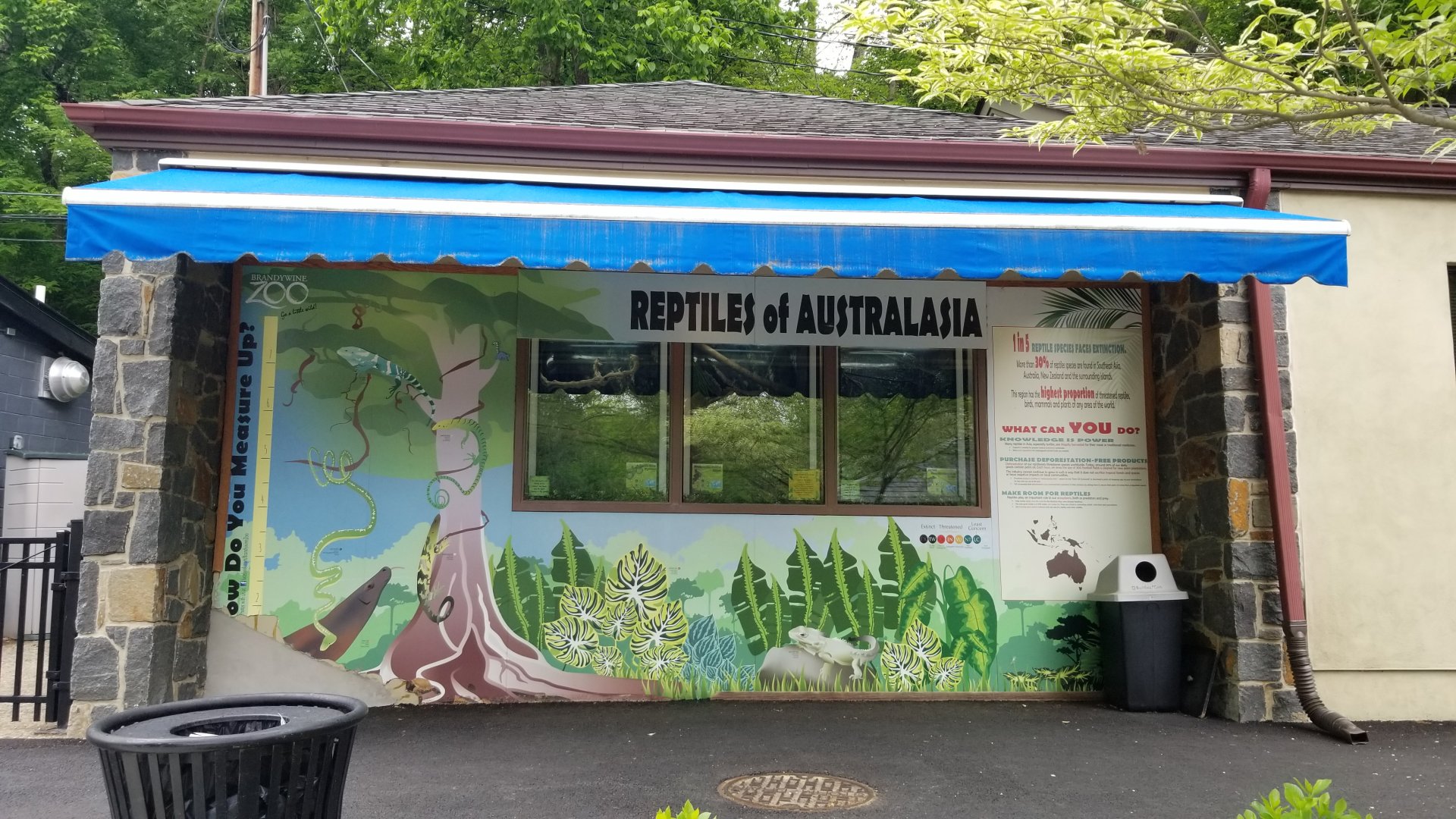 Brandywine Zoo - Reptiles of Australasia