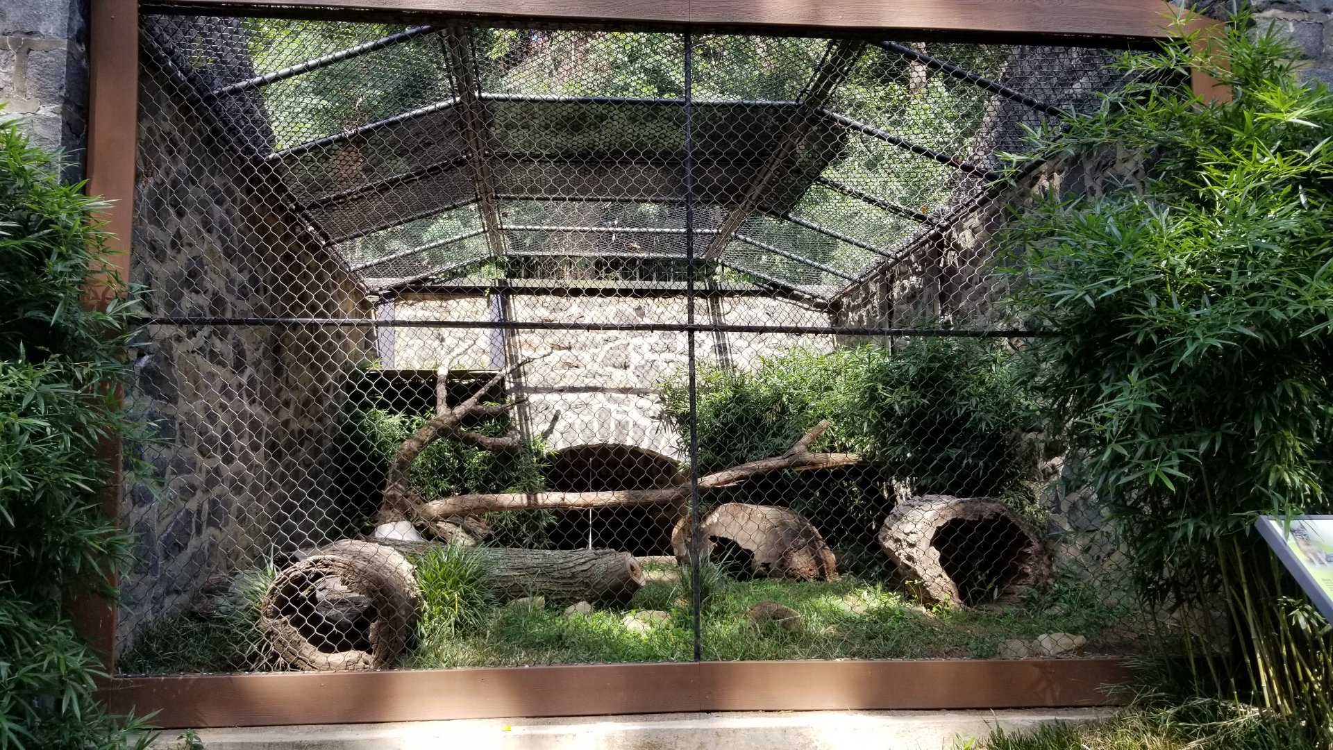 Brandywine Zoo - Swift Fox