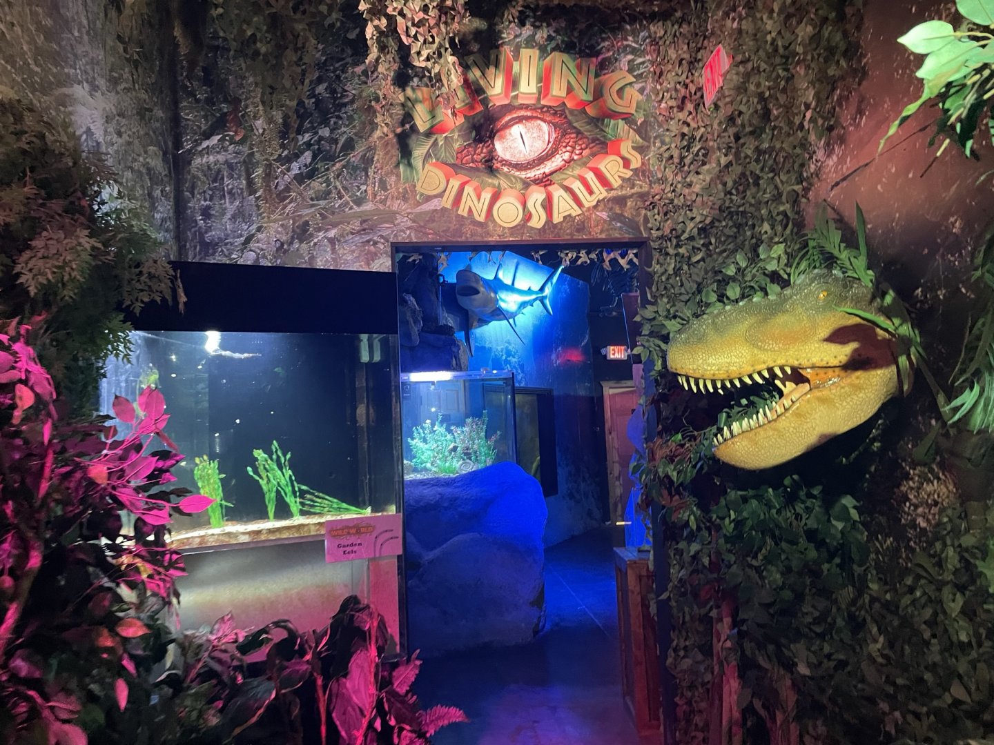 Branson's Wild World -- Living Dinosaurs Exhibit September 2024