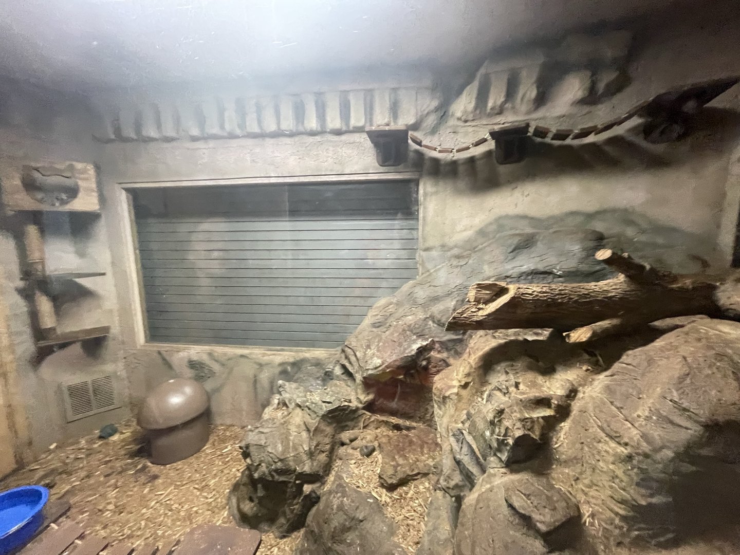 Branson's Wild World -- Small Spotted Genet Enclosure