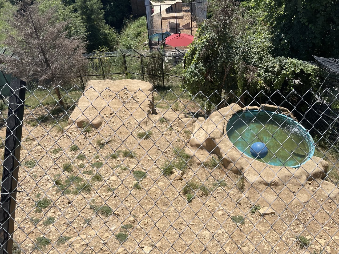 Branson's Wild World -- Wolf Enclosure (EMPTY)